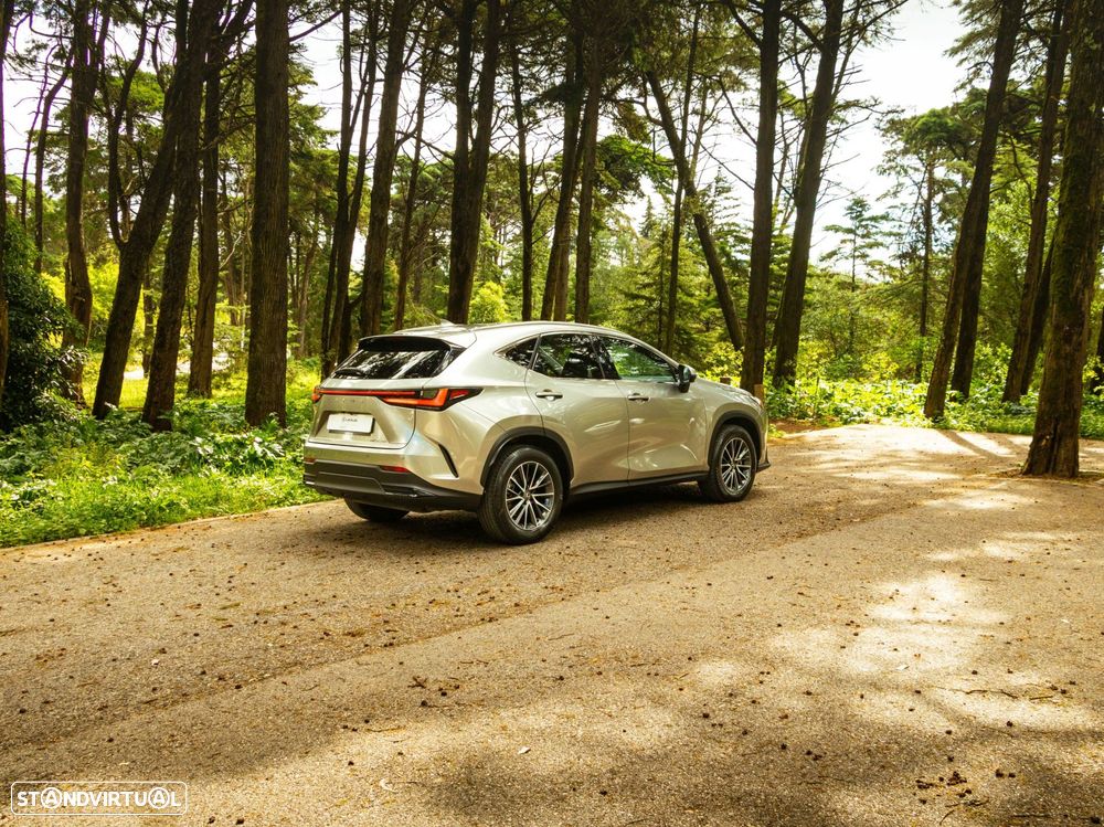 Lexus NX 350h Executive+ - 25