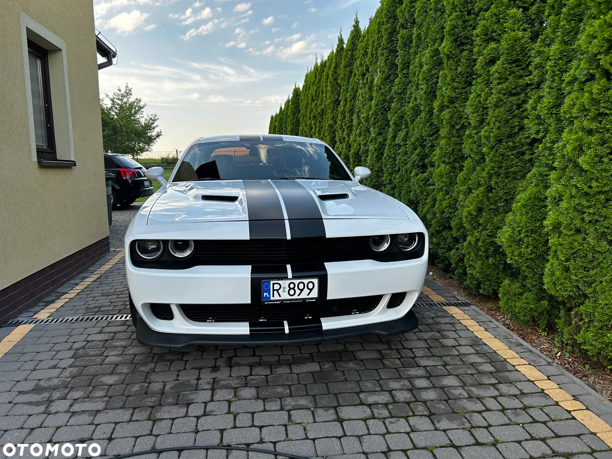 Dodge Challenger Automatik R/T Plus - 5