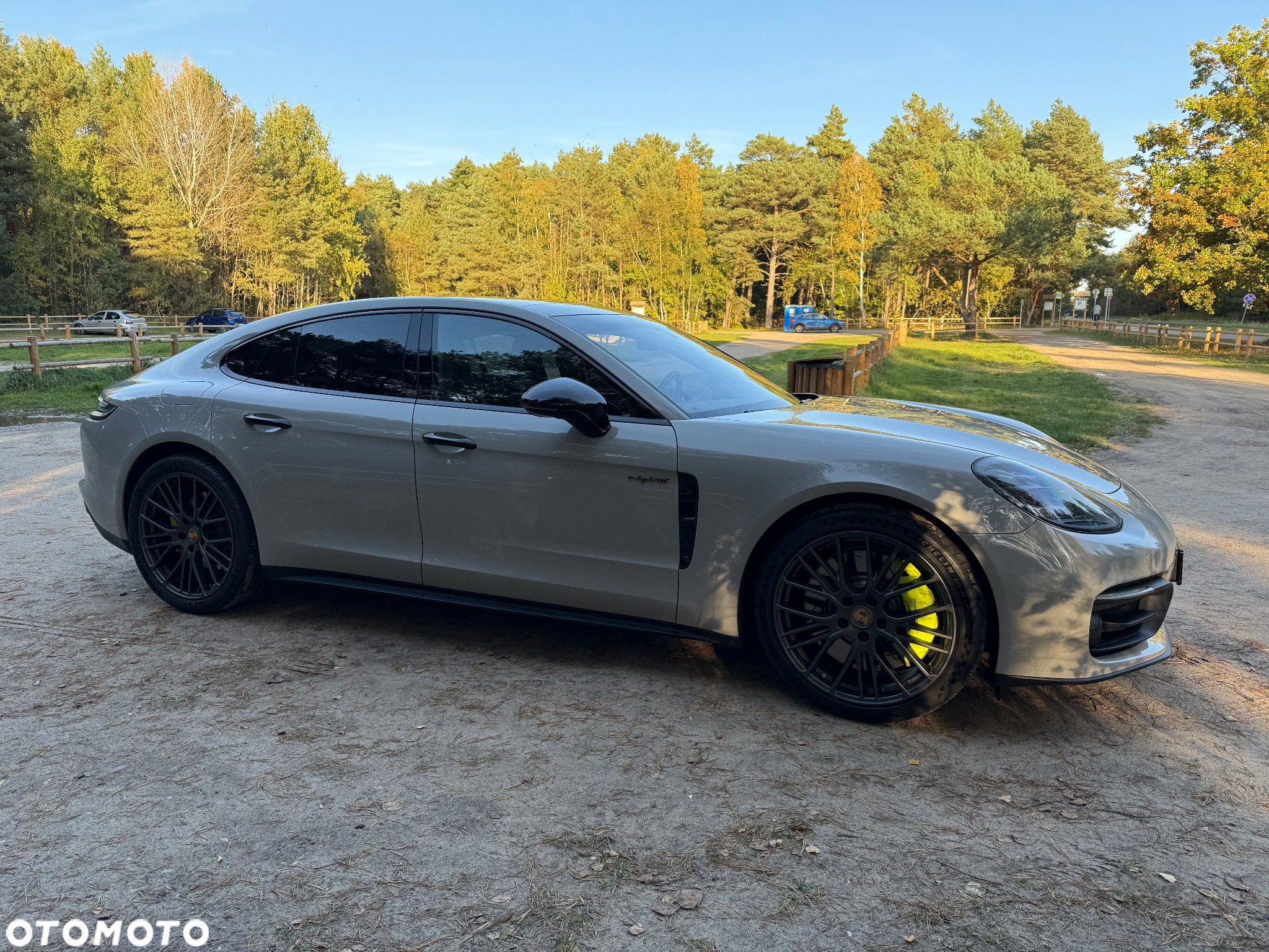 Porsche Panamera 4S E-Hybrid - 31