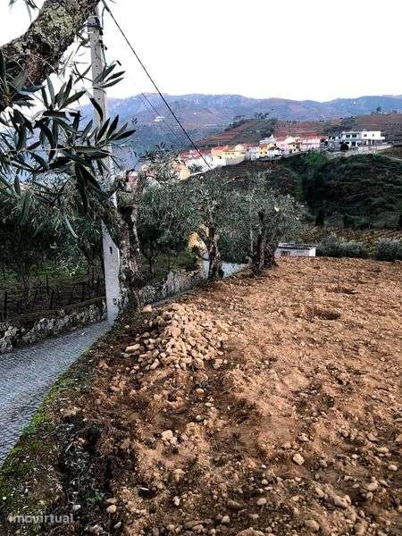 Terreno 1000m^2 Bom Preço - Grande imagem: 2/5