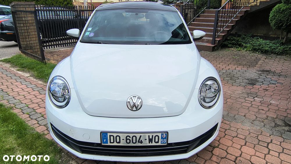 Volkswagen Beetle - 3