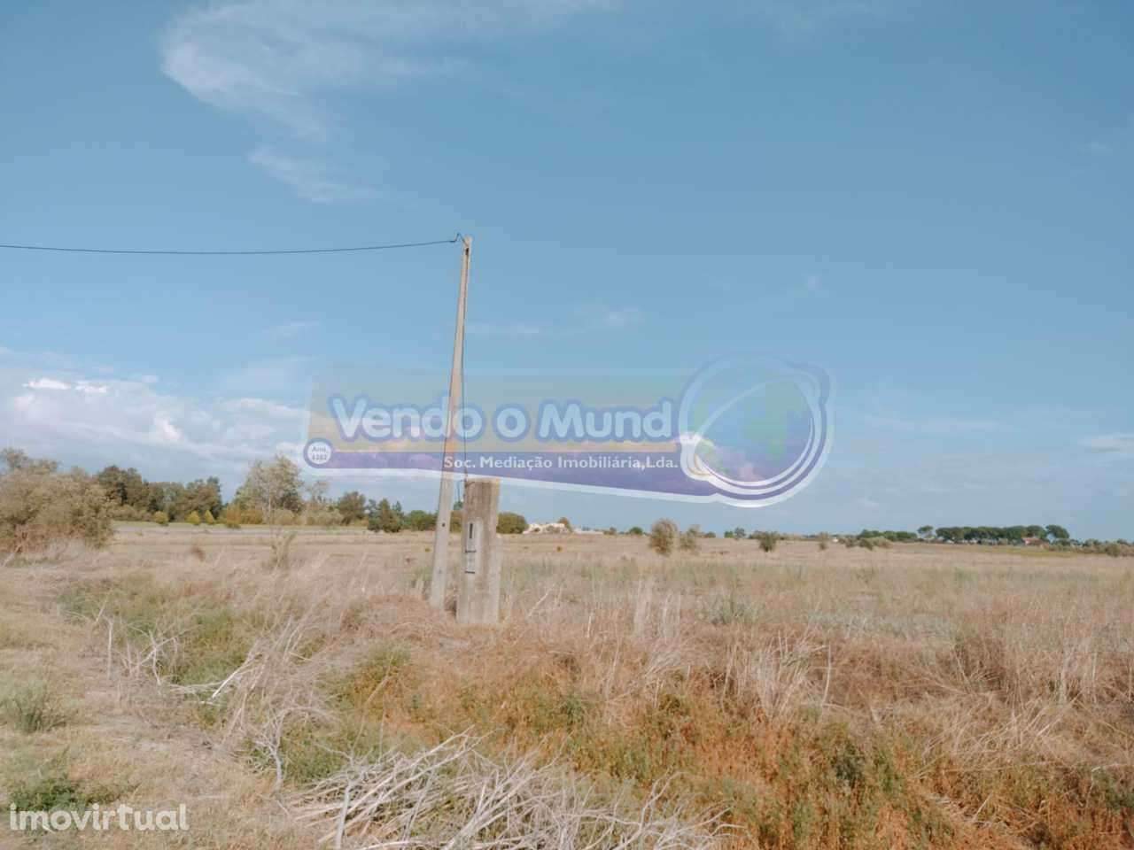 Terreno em Benavente (B556) - Grande imagem: 3/3