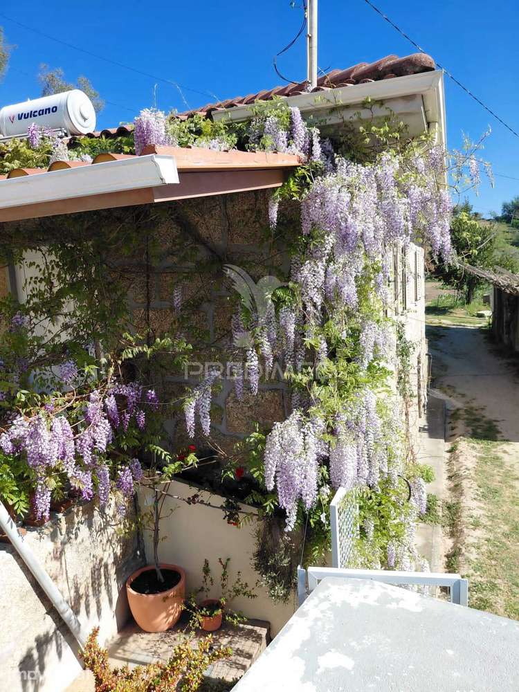 QUINTA | MORADIA T3 COM VINHA, PISCINA, ADEGA E LAGAR | GRILO – BAIÃO - Grande imagem: 2/40