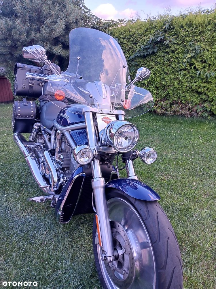 Harley-Davidson V-Rod Street Rod - 3