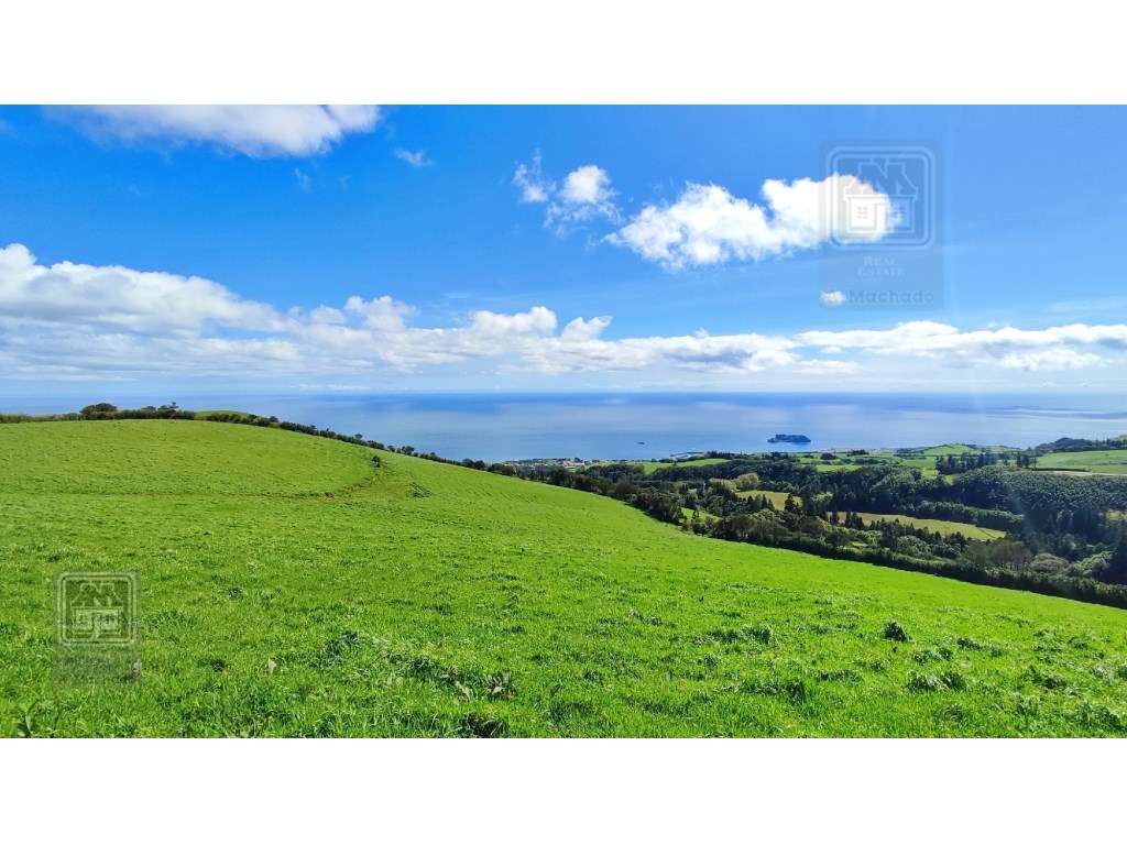 VENDA de TERRENO/PRÉDIO RÚSTICO - Freguesia de São Miguel, Vila Fra... - Grande imagem: 3/19