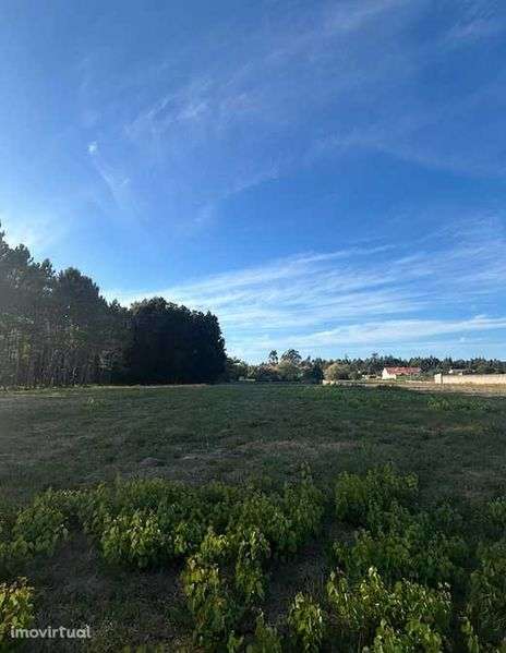 Terreno urbano em Mira - Grande imagem: 3/5