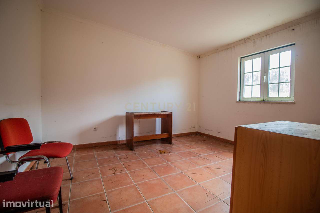 Propriedade rural de 5 hectares e construção - Souselas, Coimbra - Grande imagem: 4/32