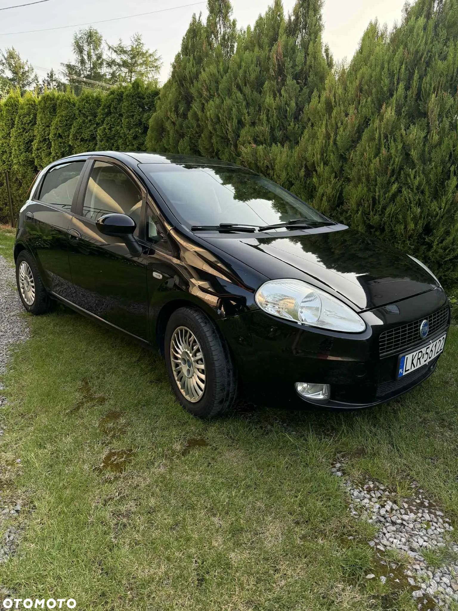 Fiat Punto - 1