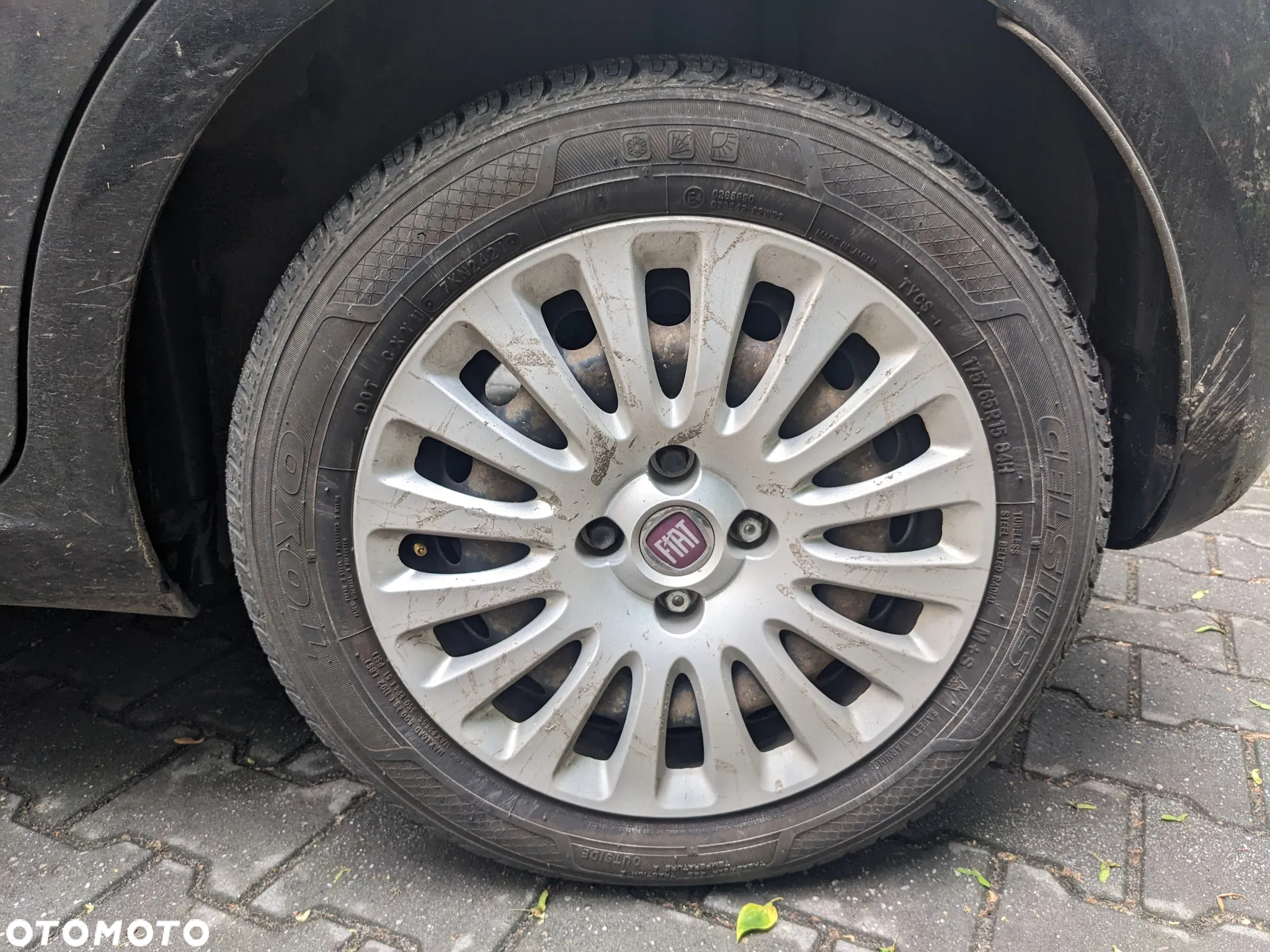Fiat Punto Evo 1.4 8V Dynamic Dualogic - 21