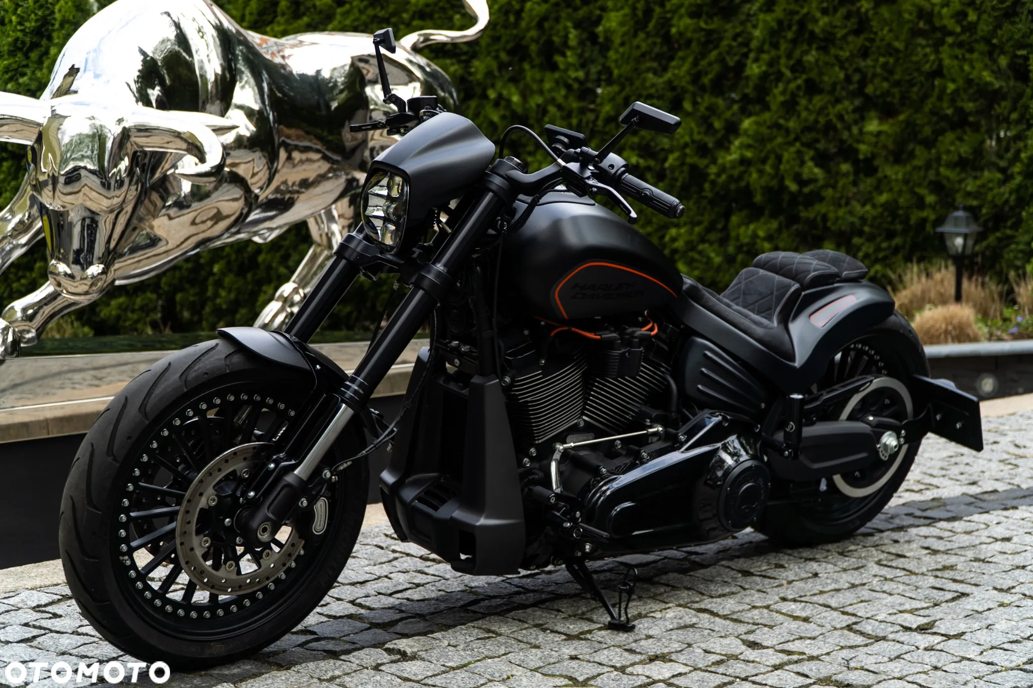 Harley-Davidson Softail FXDR - 17