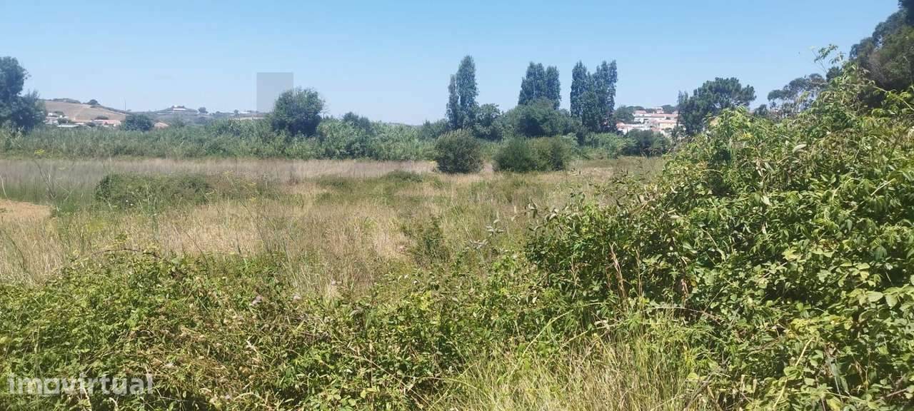 Terreno Agrícola para Venda em São Lourenço, Ribamar, 5.437m2- 22.500€ - Grande imagem: 2/18