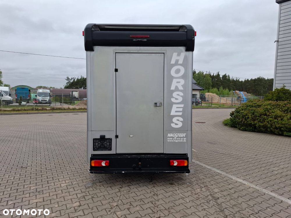 Peugeot BOXER 35, 2.0HDI / koniowóz Hagsted Horses - 7