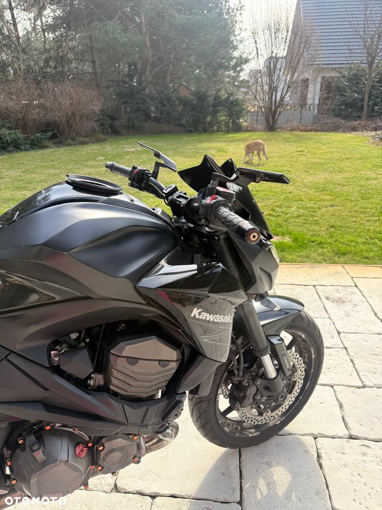Kawasaki Z - 19