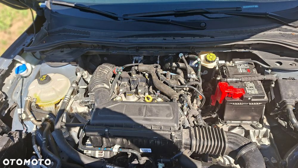 Ford Escape - 34