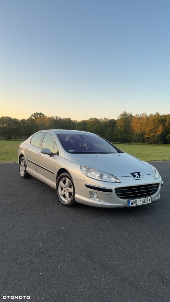 Peugeot 407 - 22