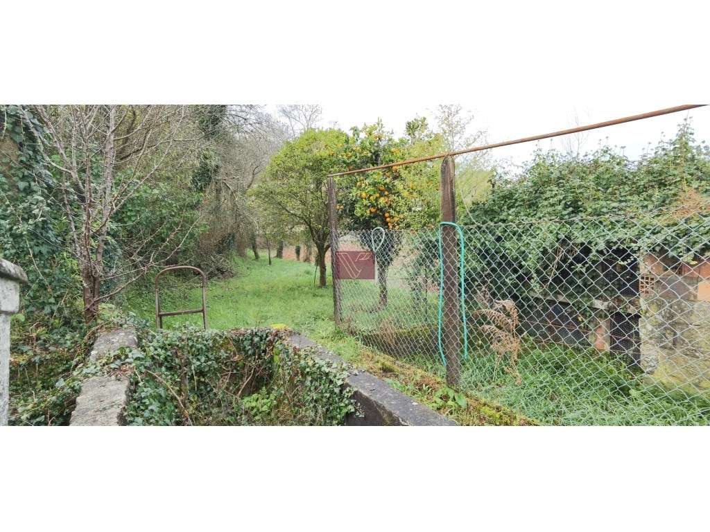 Moradia - Grande imagem: 4/18