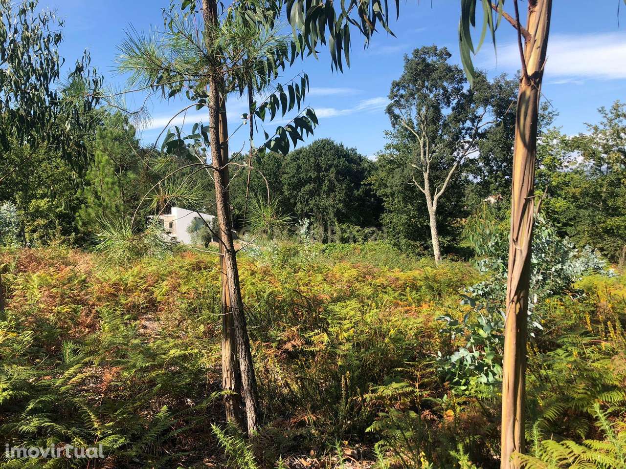 Terreno Rústico à Venda em Braga, Esposende - 60.000€ - Grande imagem: 2/9