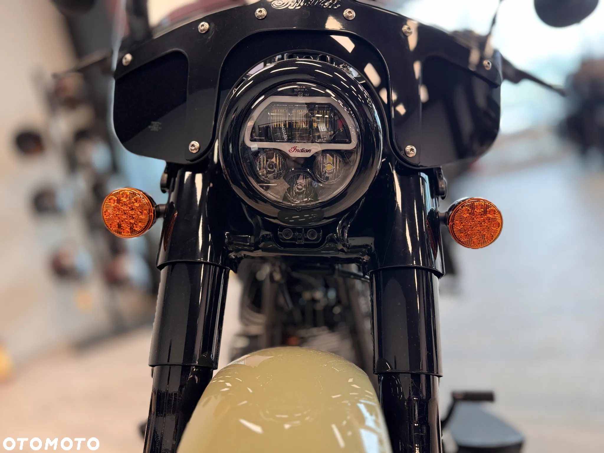 Indian Chief - 3