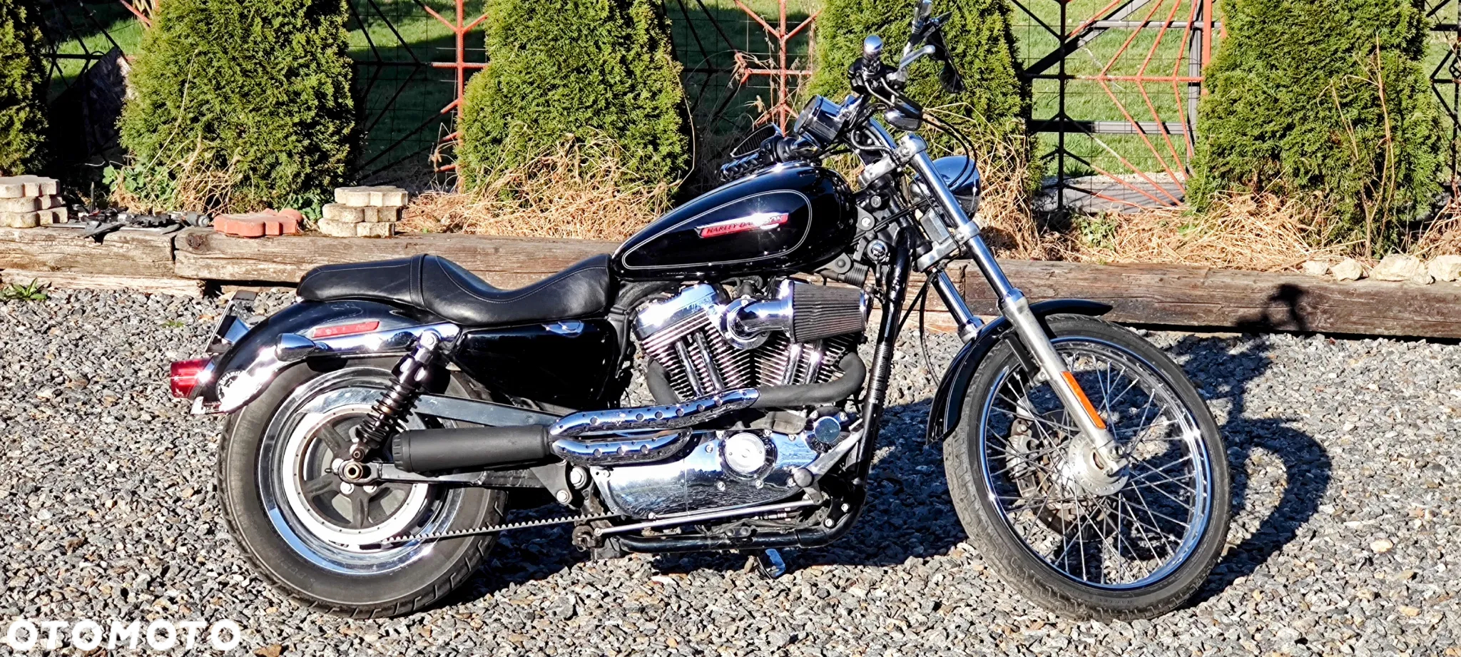 Harley-Davidson Sportster Custom 1200C - 4