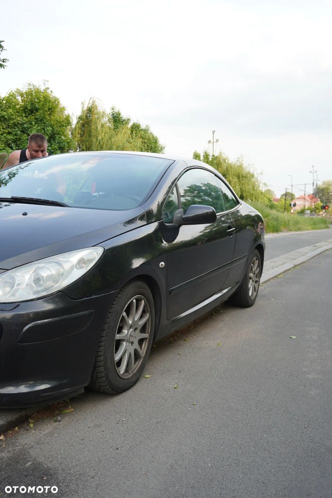 Peugeot 307 CC - 3