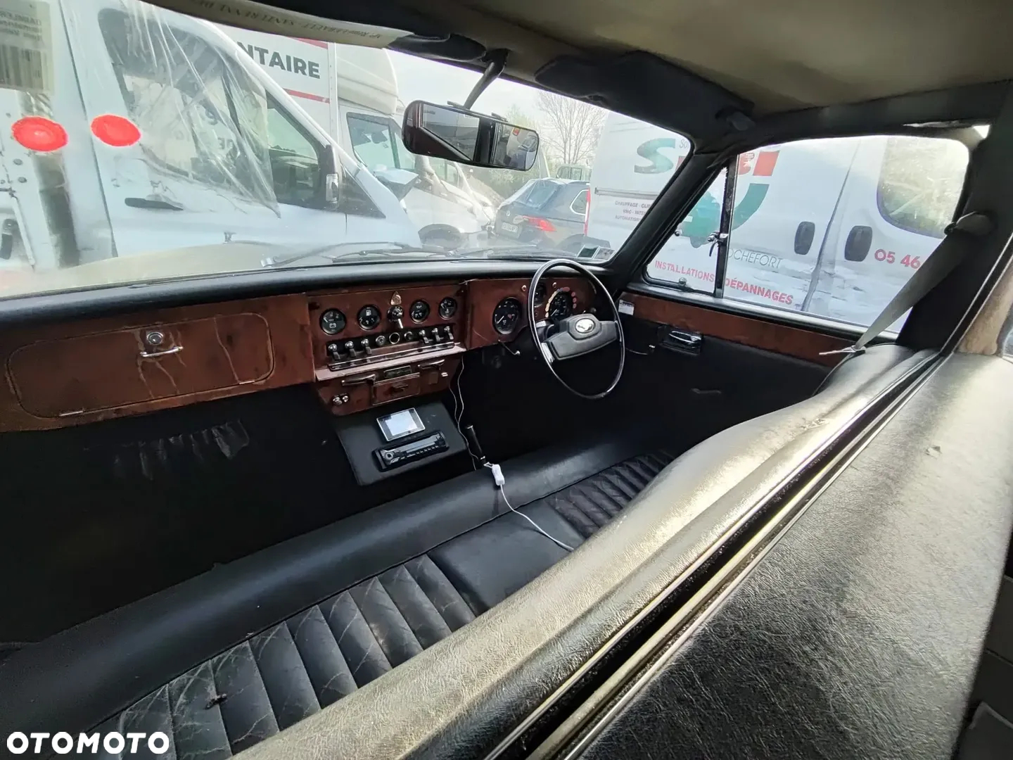 Jaguar Inny - 8