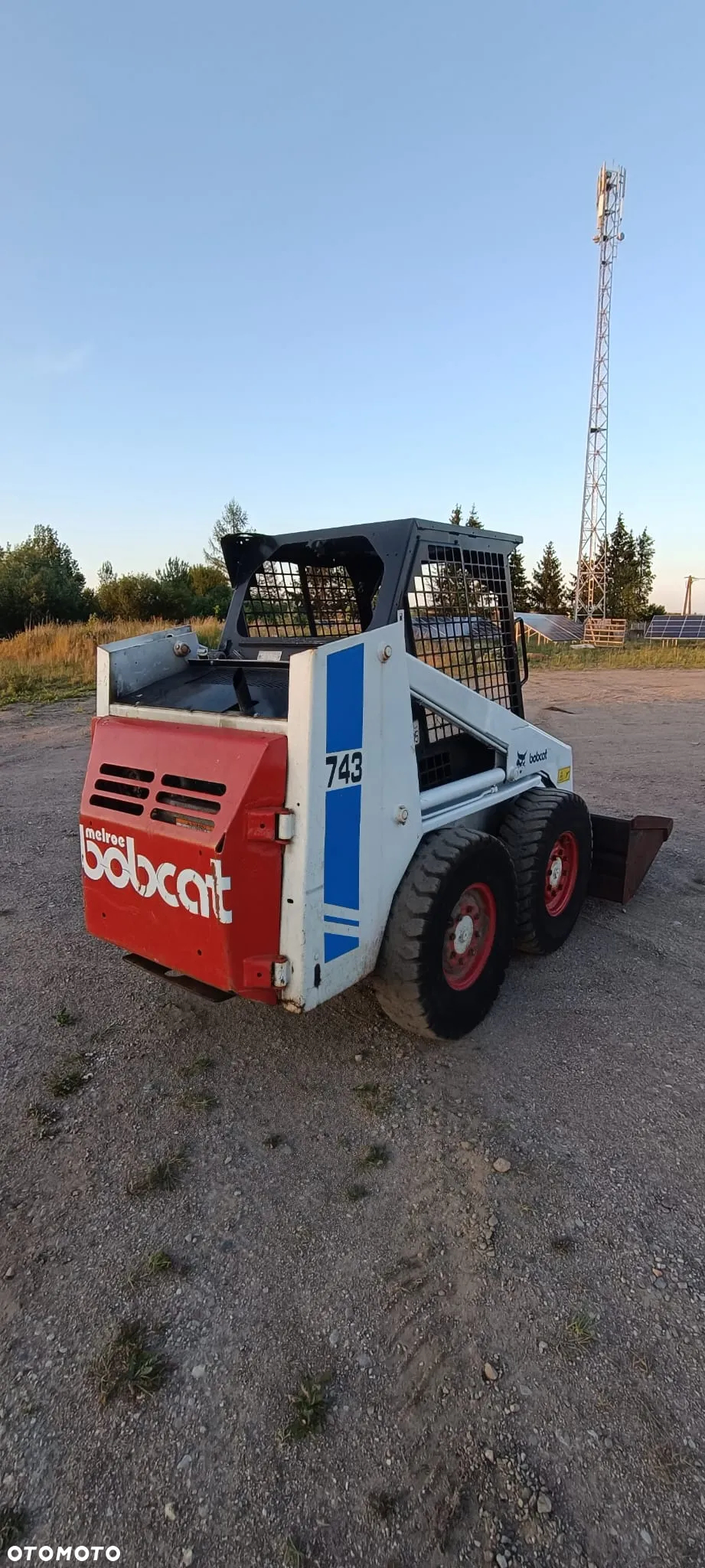 Bobcat - 11