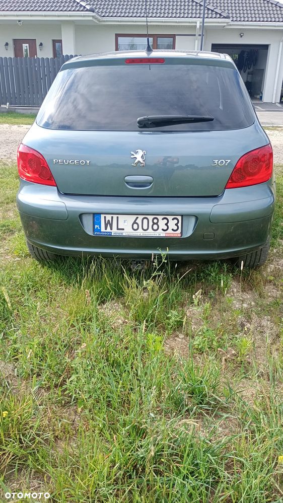 Peugeot 307 1.6 Sporty (kla) - 6