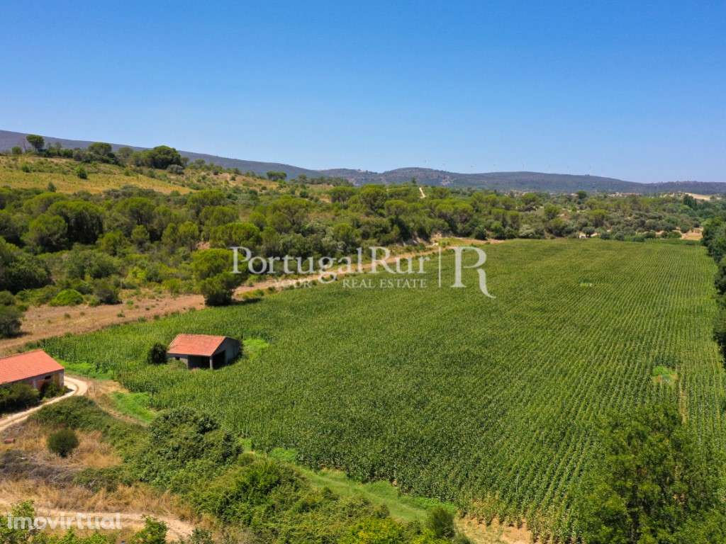 Terreno com 16 hectares em Chancelaria, Torres Novas - Grande imagem: 5/19