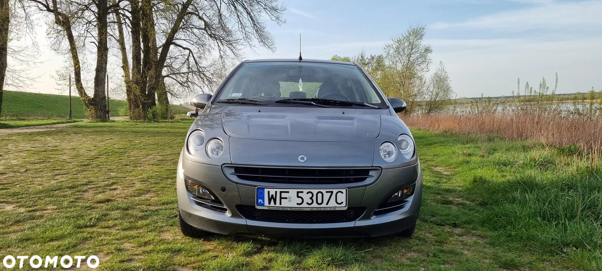 Smart Forfour passion - 6