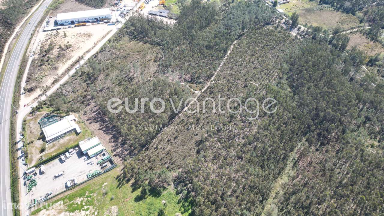 Terreno na Barosa, em Leiria - Grande imagem: 4/14