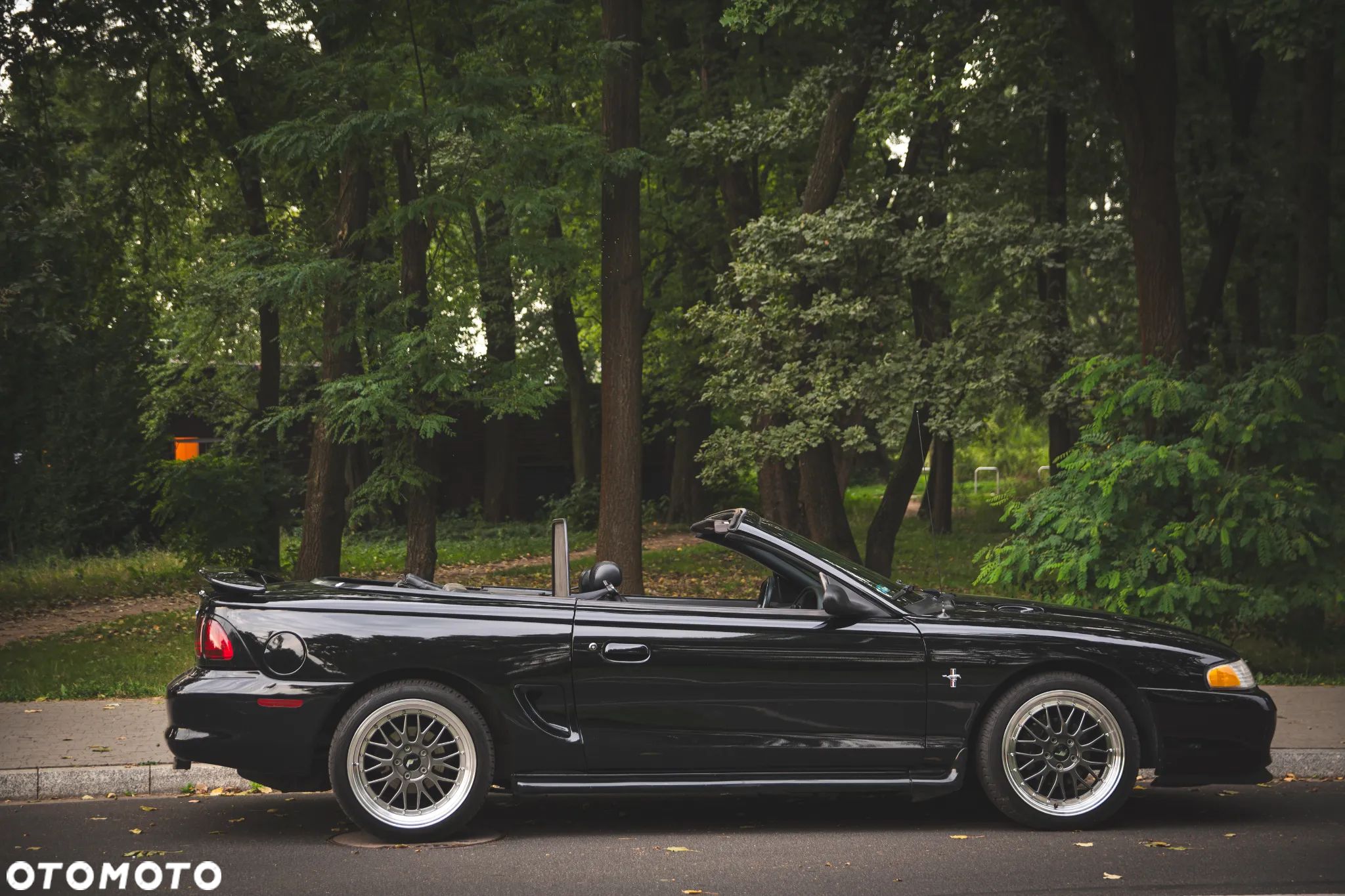 Ford Mustang - 1