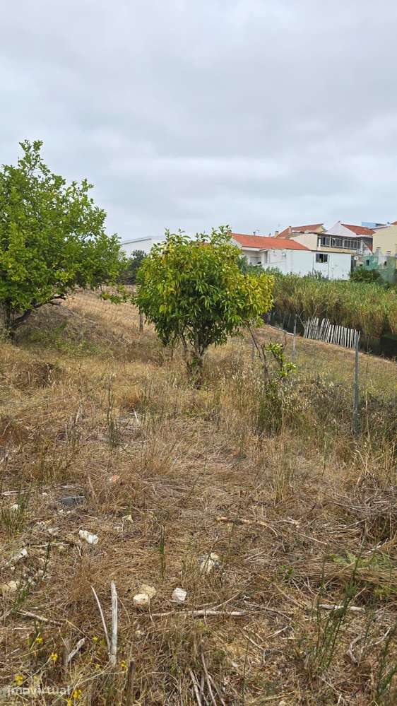 TERRENO URBANO PARA CONSTRUÇÃO - CATUJAL, CAMARATE - Grande imagem: 5/5