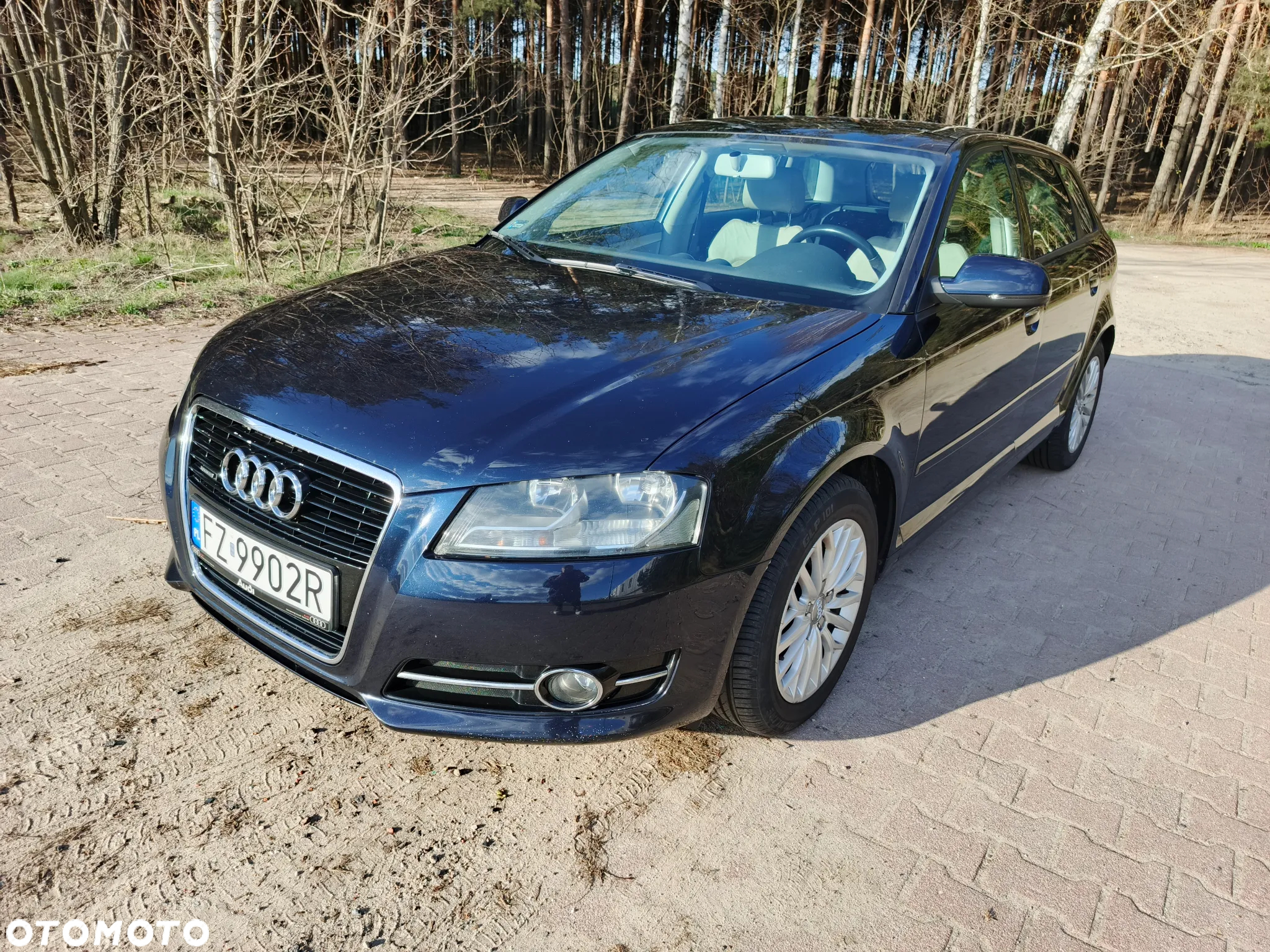 Audi A3 2.0 TDI DPF Quattro Ambition - 2
