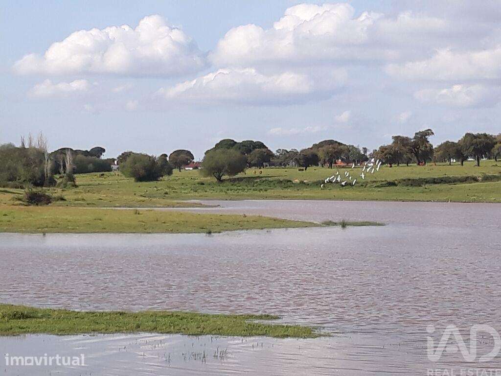 Terreno para construção T8 em Poceirão e Marateca de 19000,00 m2 - Grande imagem: 3/30