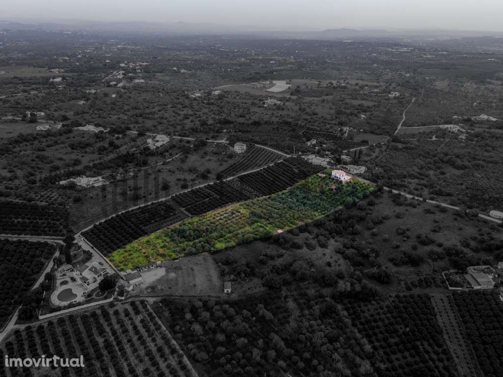 Moradia T3 com Pomar de citrinos no concelho de Silves - Grande imagem: 4/36