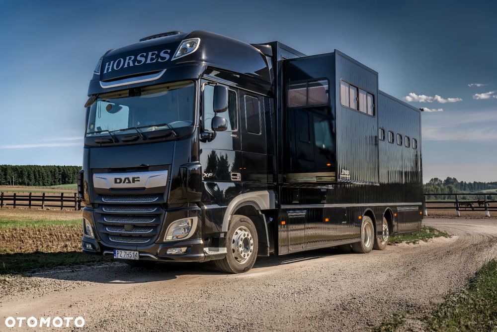 DAF XF 480 - 2