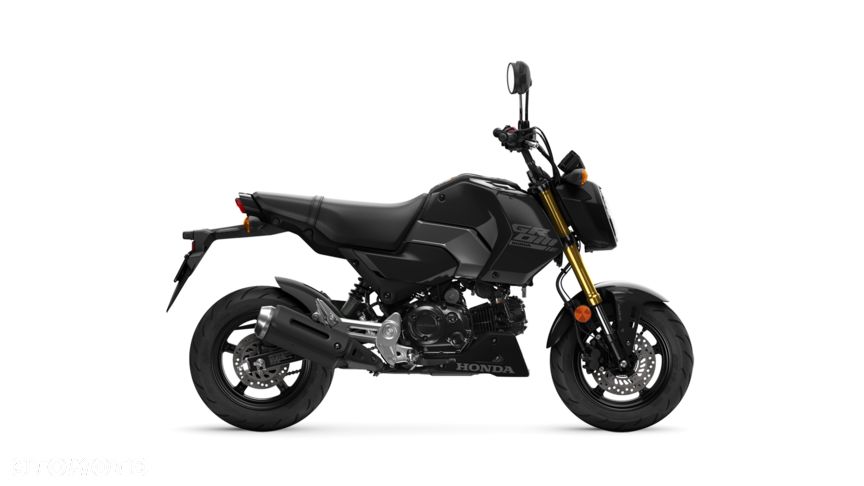 Honda MSX 125 - 3