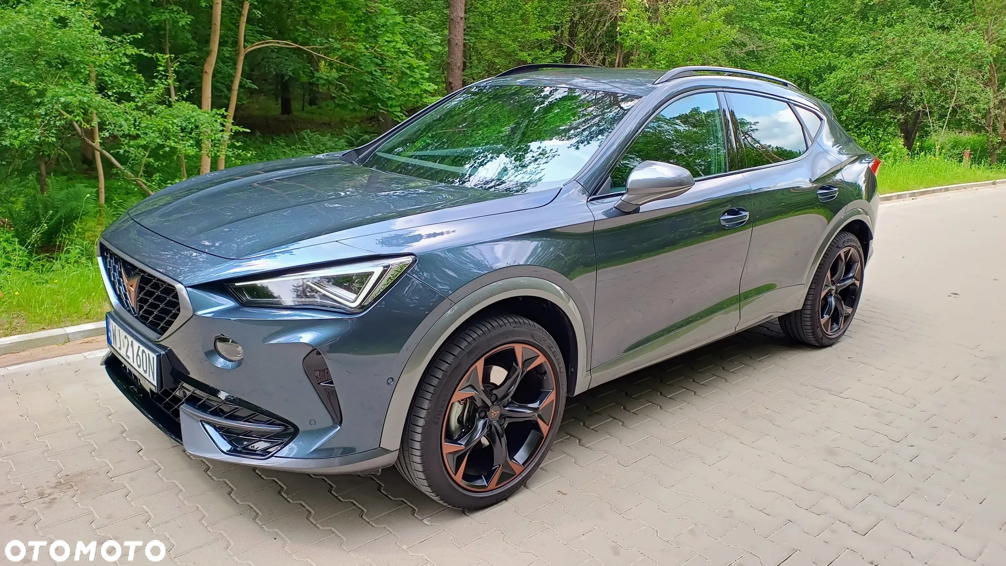 Cupra Formentor 2.0 TDI 4Drive DSG - 17