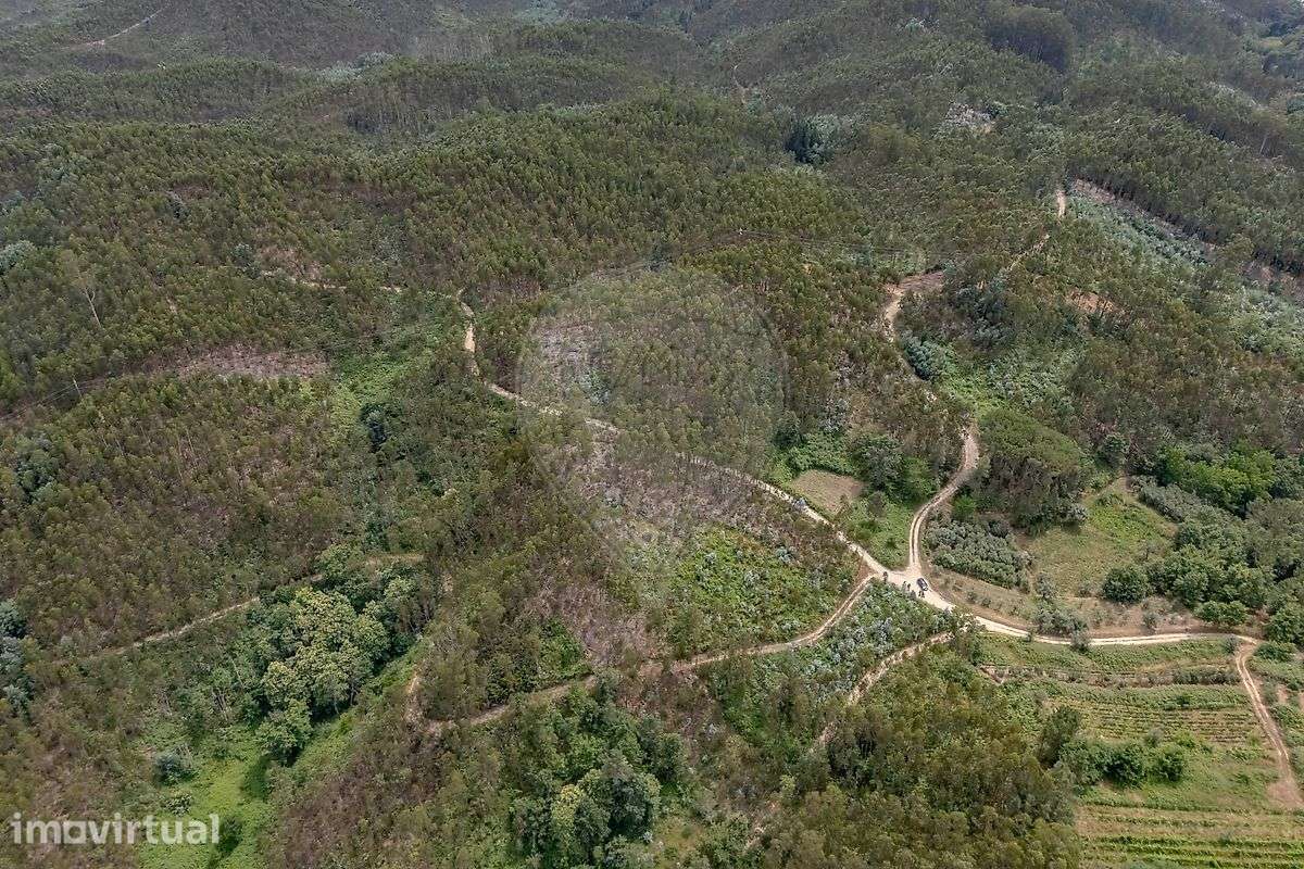 Terreno  para venda - Grande imagem: 3/14
