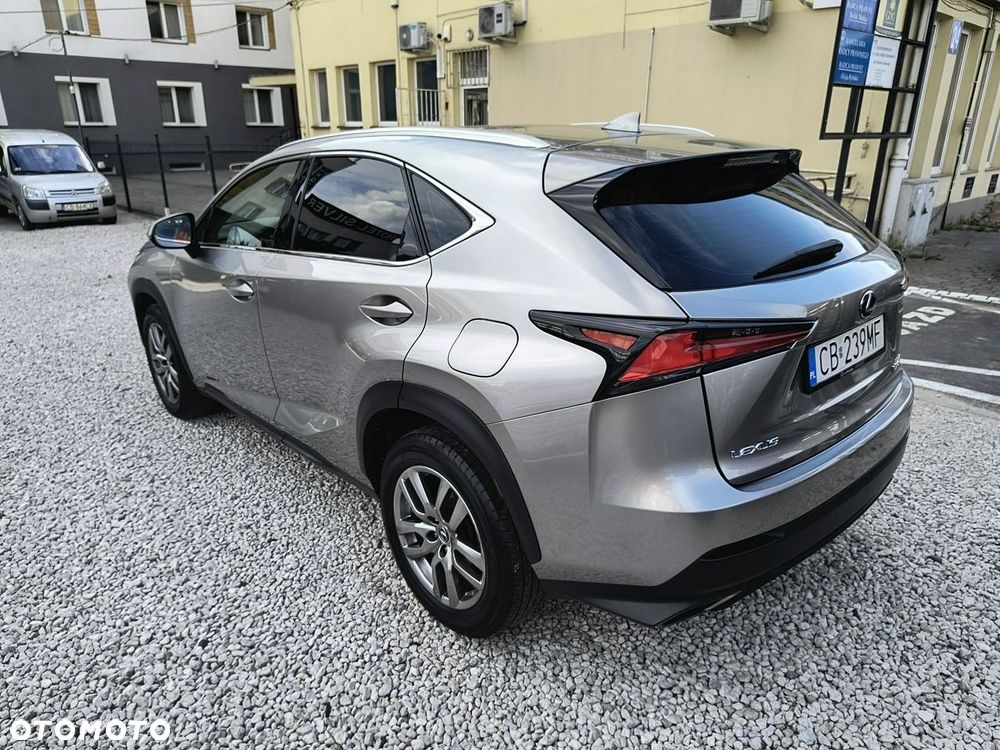 Lexus NX 300 Business Edition AWD - 7