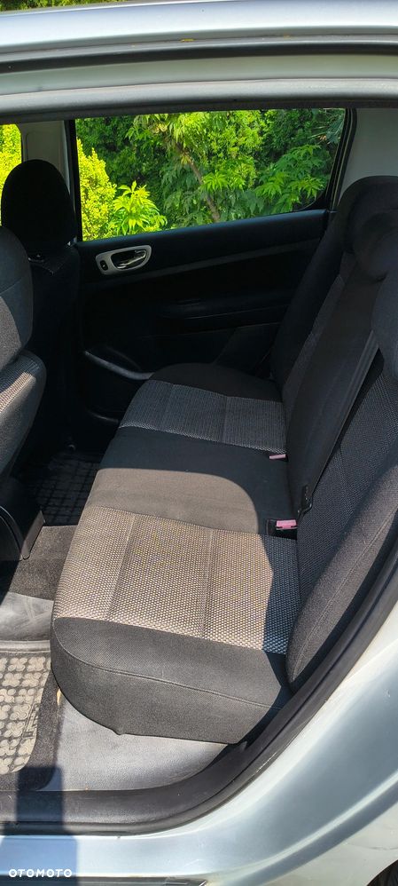 Peugeot 307 1.6 Oxygo - 18