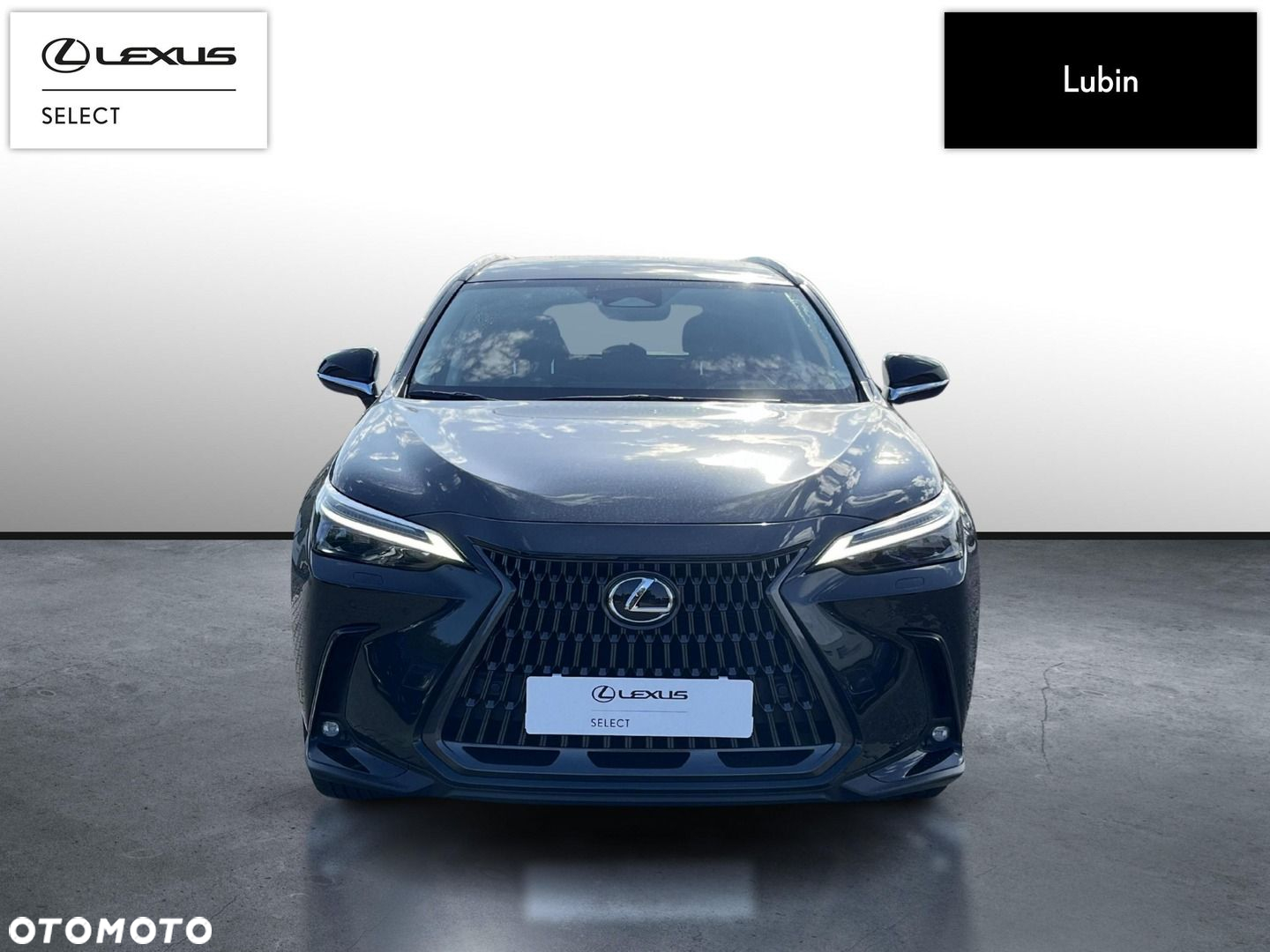 Lexus NX - 8