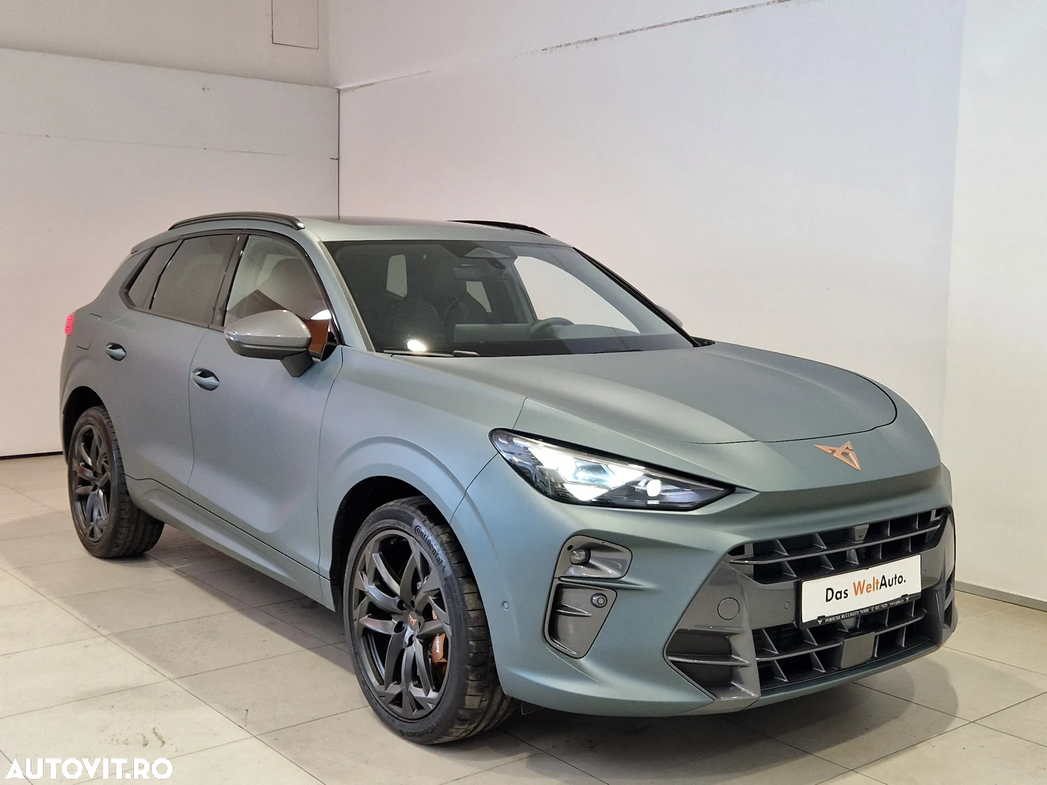 Cupra Terramar - 5