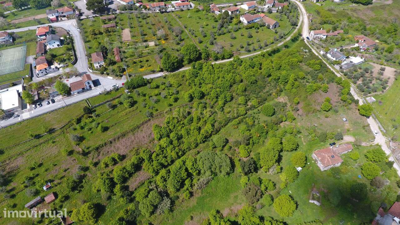 Terreno com vista deslumbrante para a Serra do Caramulo, junto à Estaç - Grande imagem: 4/7