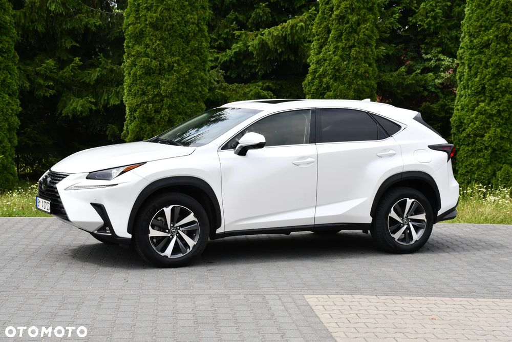 Lexus NX 300 Prestige AWD - 4
