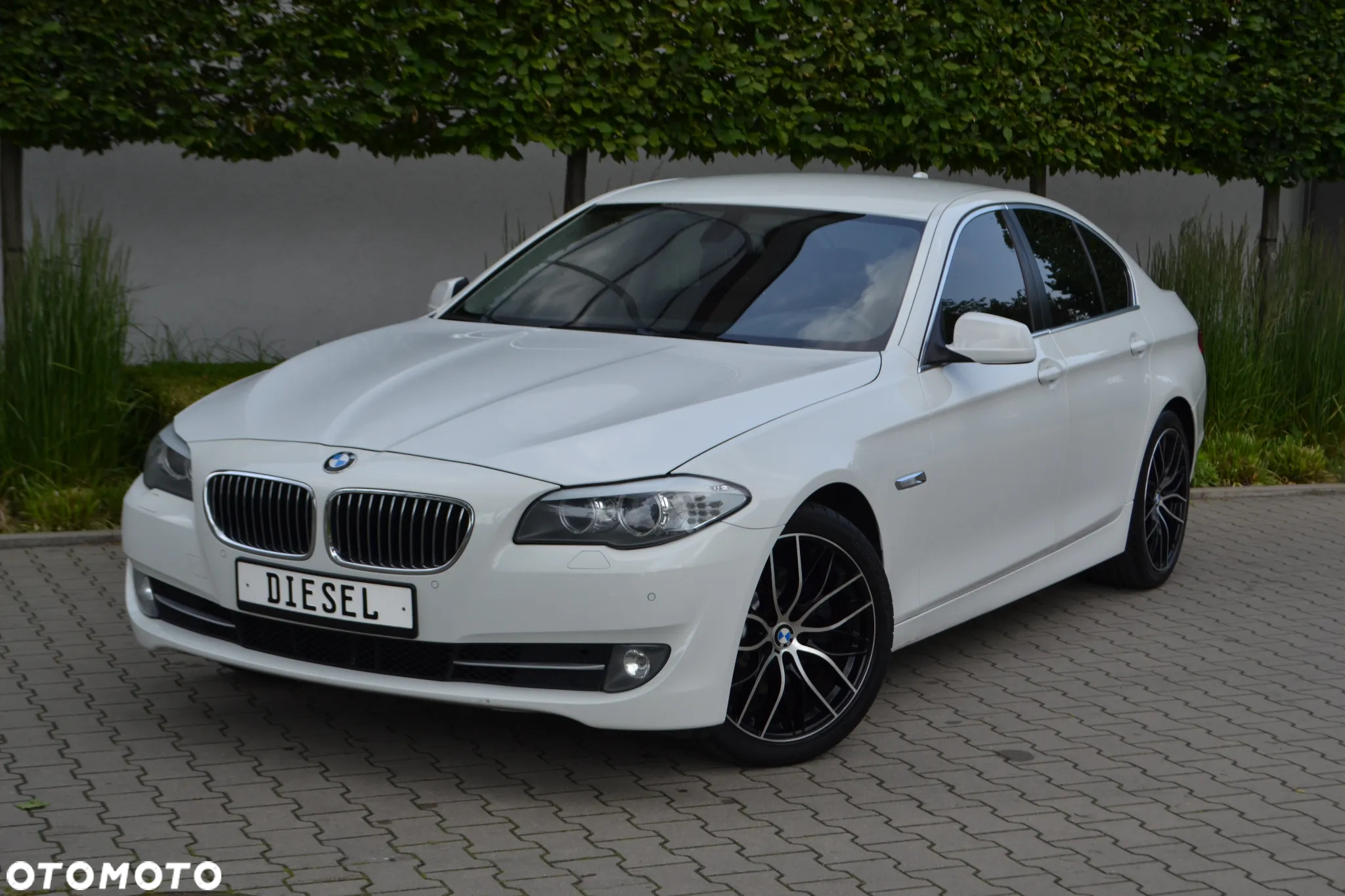 BMW Seria 5 - 6
