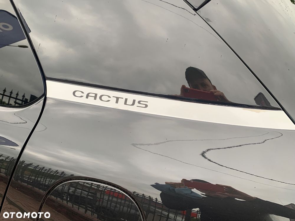 Citroën C4 Cactus VTi 82 Shine - 24