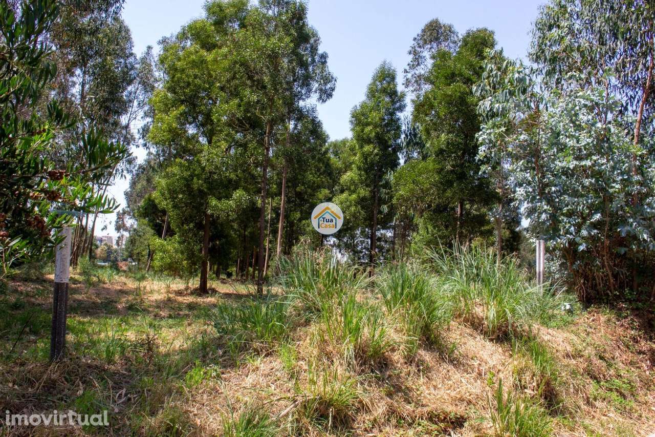 Terreno para Loteamento – Rio Meão, Santa Maria da Feira - Grande imagem: 4/19