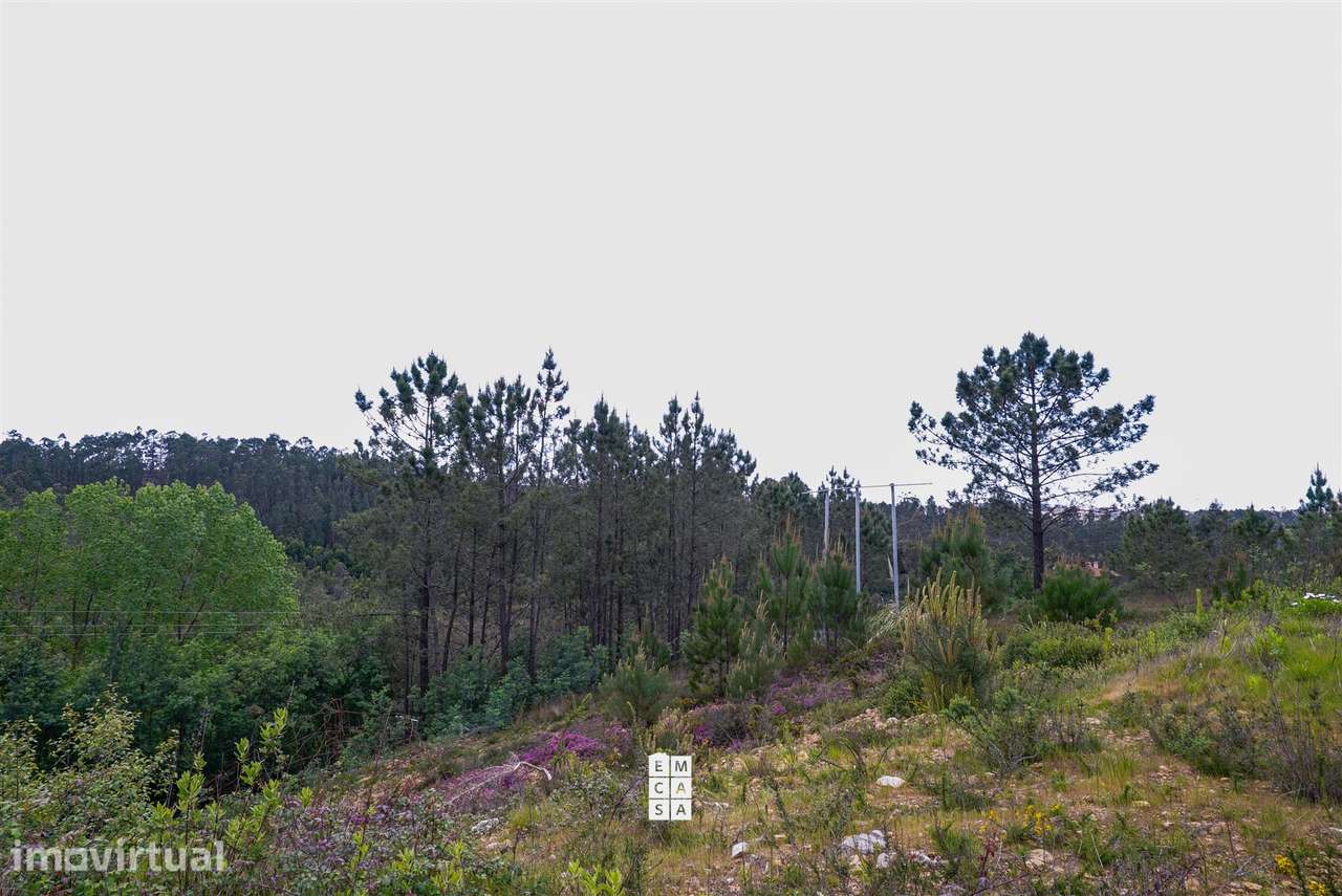 Terreno Urbano  Venda em Nogueira do Cravo e Pindelo,Oliveira de Azemé - Grande imagem: 4/24
