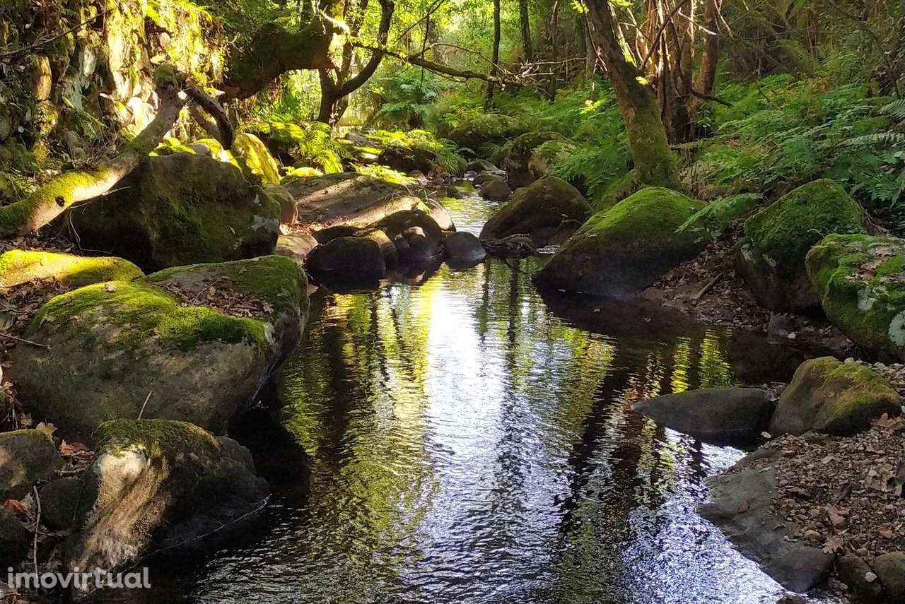 Moradia T0 Venda em Carvalhais e Candal,São Pedro do Sul - Grande imagem: 3/11